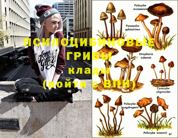 jwh Струнино