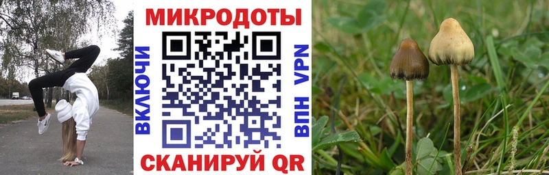 Галлюциногенные грибы Magic Shrooms  это формула  Волжск 
