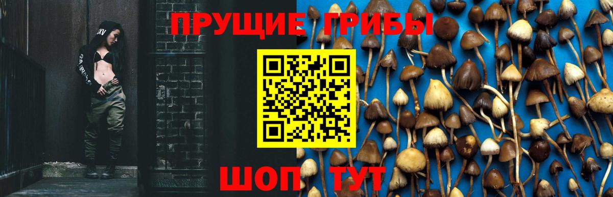 Псилоцибиновые грибы мухоморы Волжск